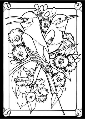 Freebie: Hummingbird Image