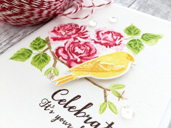 Tip: Stamps with a Water Color Look