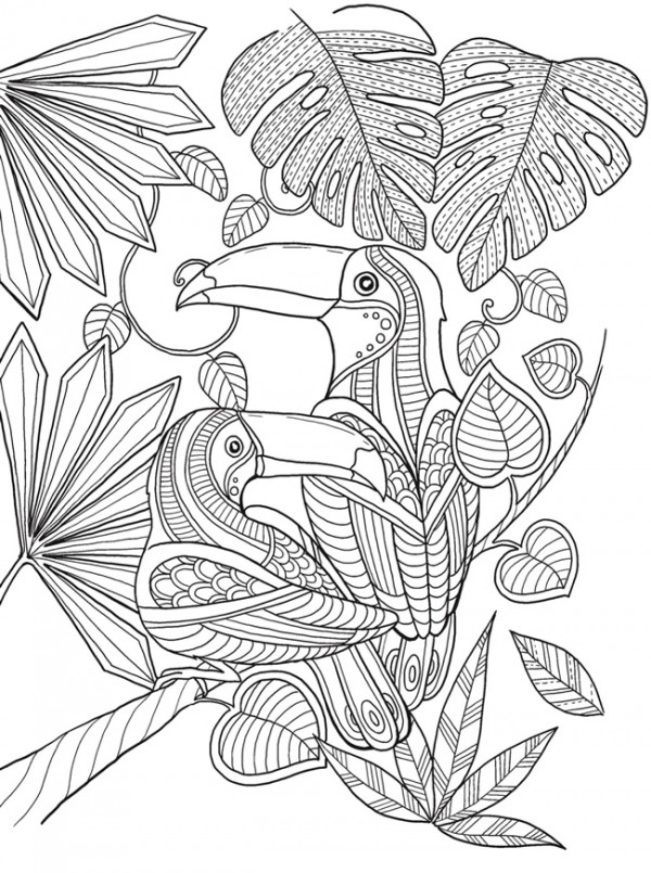 Freebie: Toucan Coloring Page