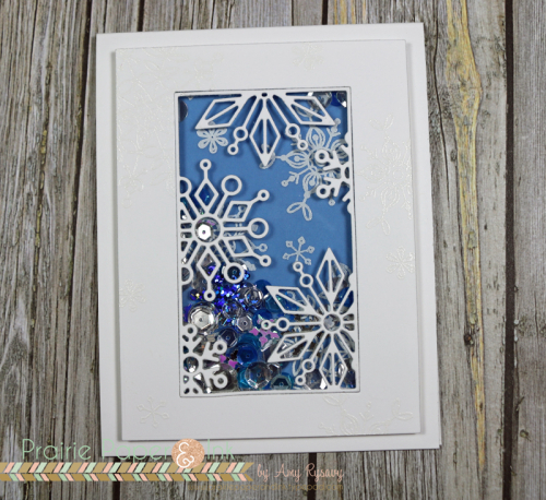 Project: Snowflake Shaker Card