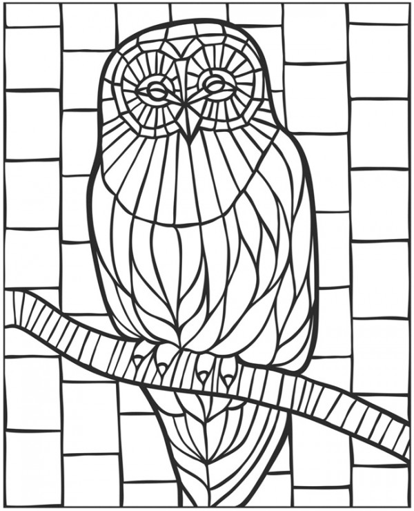 Download: Owl Coloring Page