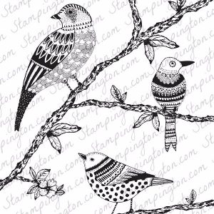 Freebie: Bird Coloring Page