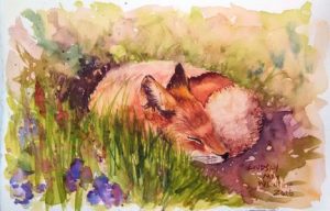 Technique: Learn to Draw and Water Color a Fox