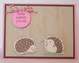 Product Review: Stampin' Up Occasions Catalog Part 2