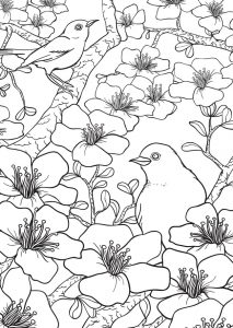 Freebie: Spring Birds and Flowers Coloring Page