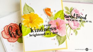 Technique: Dimensional Sentiments Cards