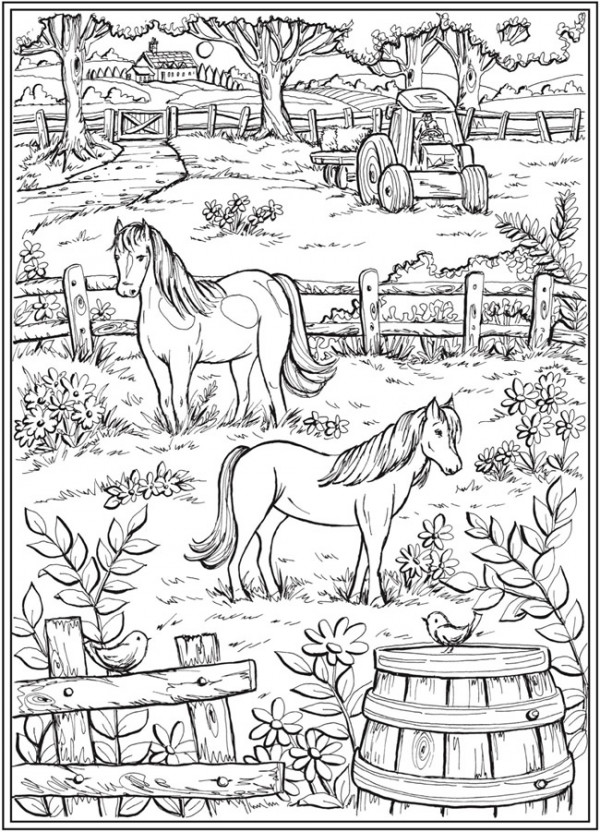 7 Country Life Coloring Pages