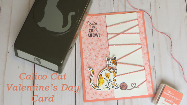 Calico Cat Valentine's Day Card