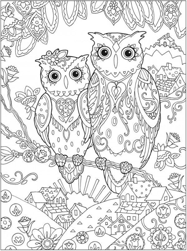 4 Owl Coloring Pages