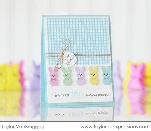 Marshmallow Easter Bunny Cards