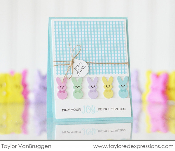 Marshmallow Easter Bunny Cards