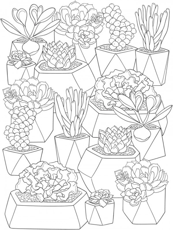 6 Succulents Coloring Pages