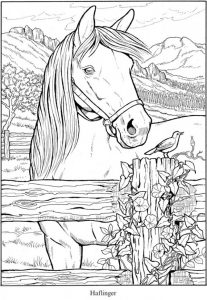 6 Horse Coloring Pages