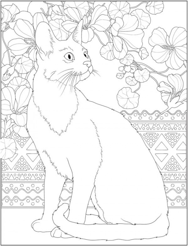 6 Cat Coloring Pages