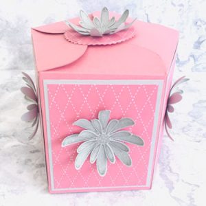 5 Sided Gift Box