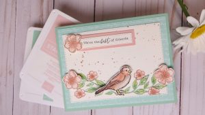 Stampin' Up Annual Catalog Review Part 2