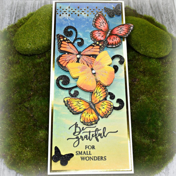 Butterfly Card