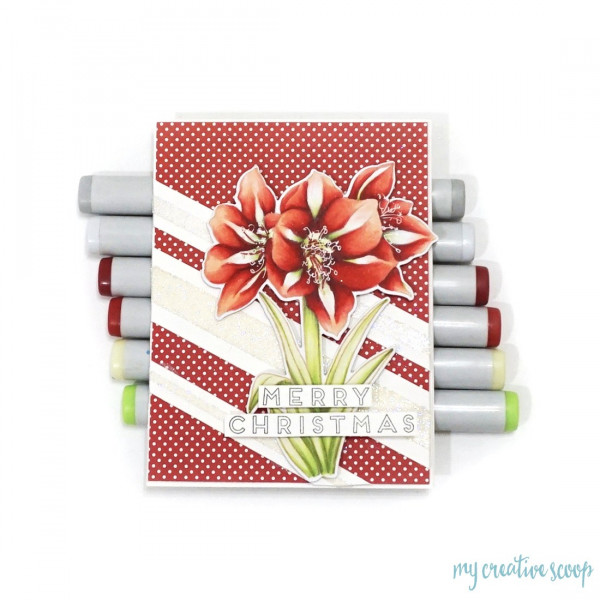 How to Color a Christmas Lily Card