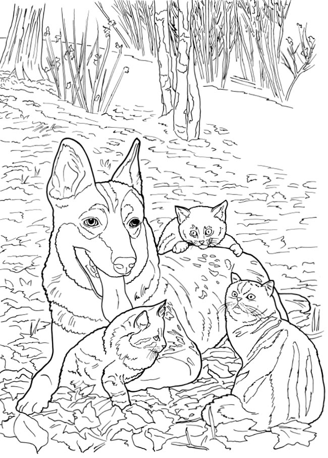 5 Cats and Dogs Coloring Pages