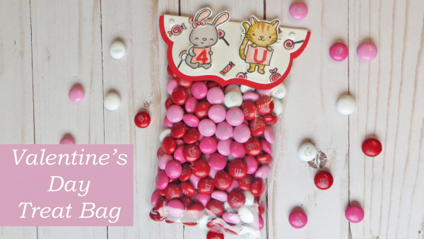 Valentine's Day Treat Bag