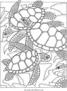 4 Seascapes Coloring Pages