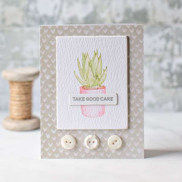 Clean and Simple Succulent Cards