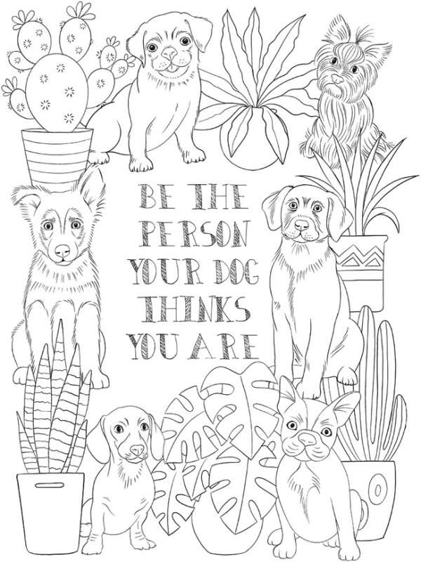 6 Pet Coloring Pages