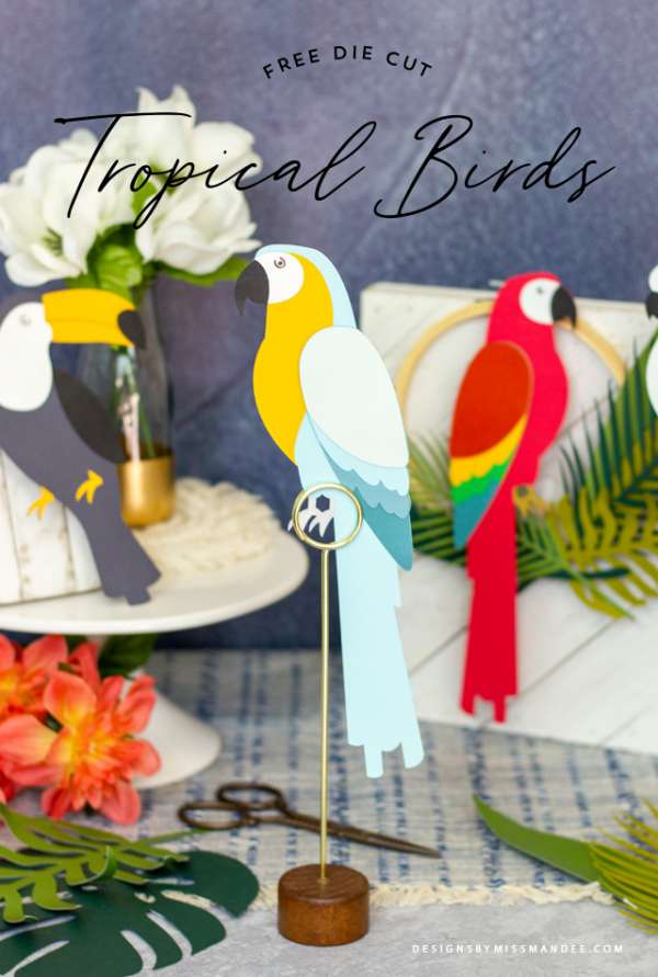 Tropical Birds Die Cuts