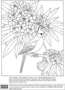 4 State Bird Coloring Pages