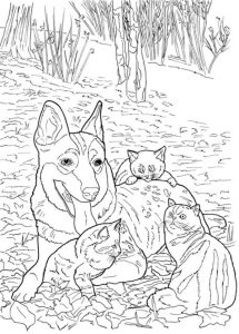 5 Cats and Dogs Coloring Pages