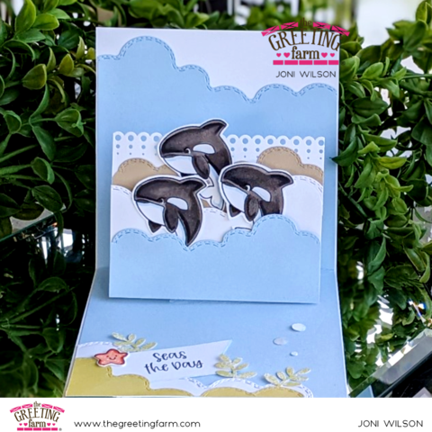 Orca Whales Pop Up Card