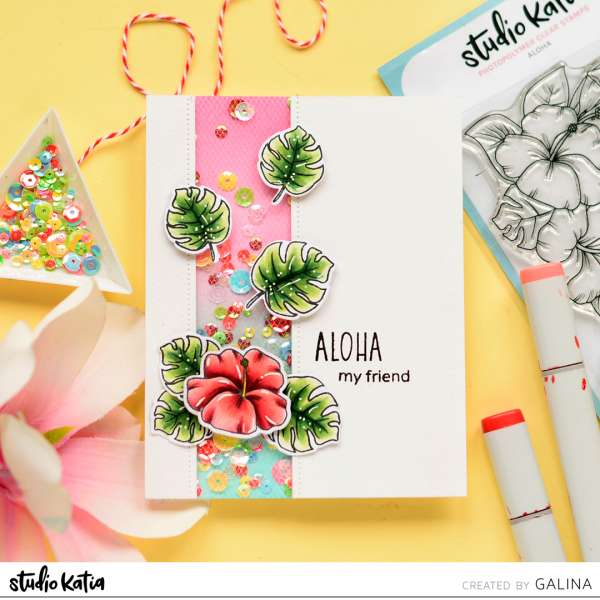 Tropical Border Shaker Card