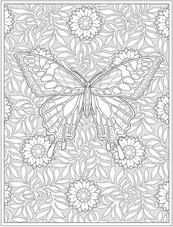 6 Butterfly Coloring Pages