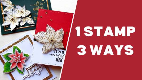 3 Cards with 1 Poinsettia Stamp