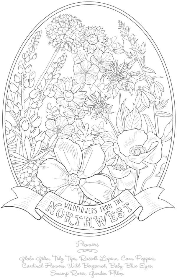 6 FREE Wildflower Coloring Pages