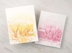 Embossed Overlay Cards