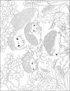 6 FREE Baby Animals Coloring Pages