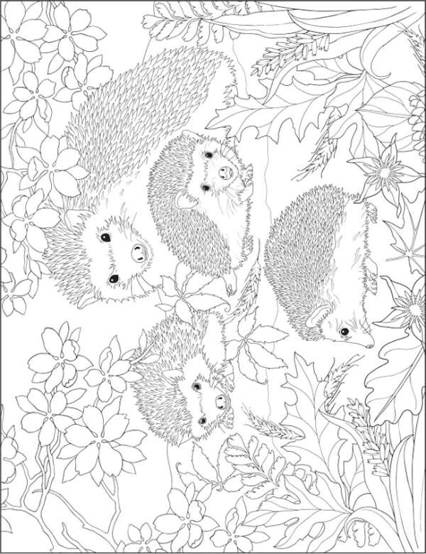 6 FREE Baby Animals Coloring Pages