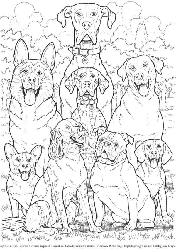 6 FREE Dog Themed Coloring Pages