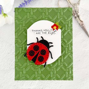 How to Make a Stitched Ladybug Card